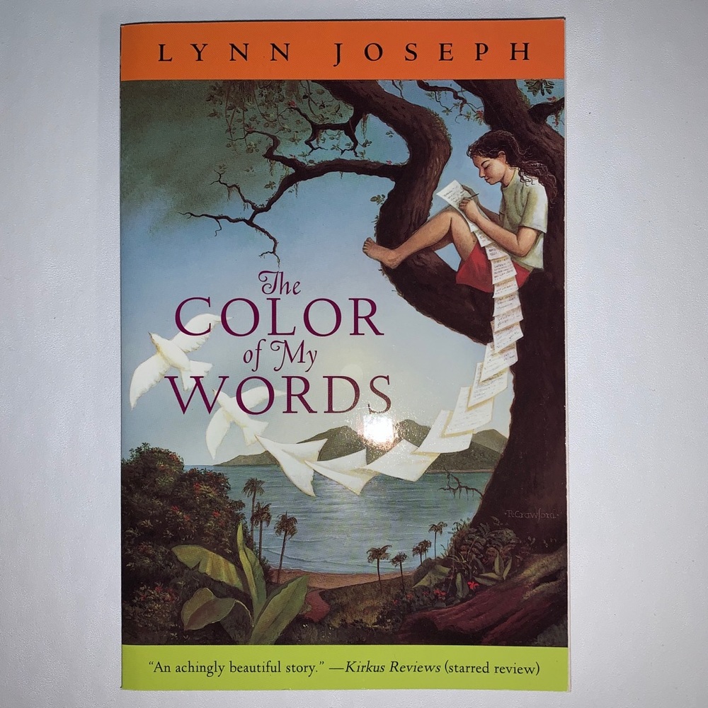 BOOK THW COLOR OF MY WORDS